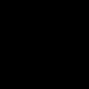 Meet your Posher, Georgie